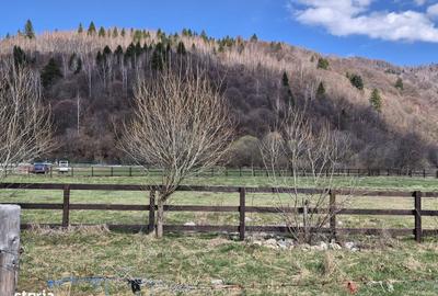 Spațiu comercial, în Plaiul Foii - 2