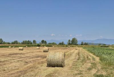 Teren in Dragu?e?ti, la 9 km distan?a de Tg. Jiu - 5