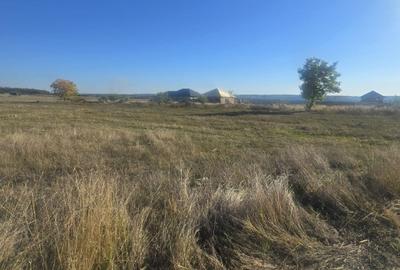 Teren Construcții intravilan de 1000 mp, în Central - 5