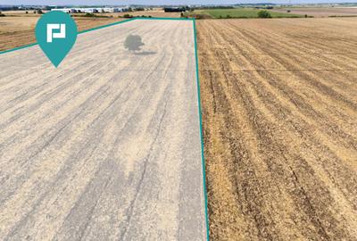 Teren agricol extravilan de 5500 mp, în Freidorf - 2