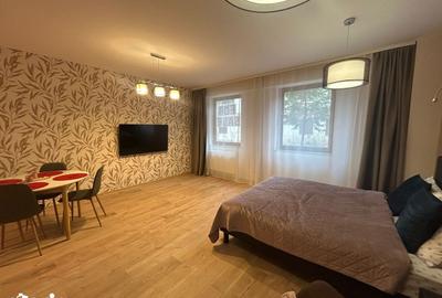 Garsonieră în Drumul Poienii - 9