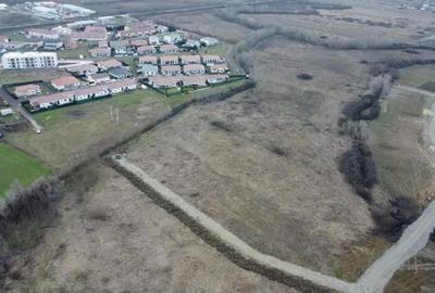 Teren de 5000 mp, în Albina - 2