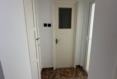 Apartament cu 4 camere decomandat în Banat - 4