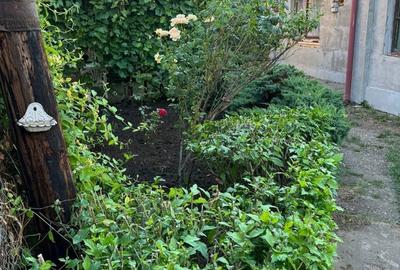 Spațiu comercial, în Băneasa - 2