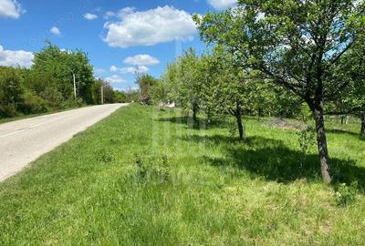 Teren premium 1000 mp-Sibiel - 1