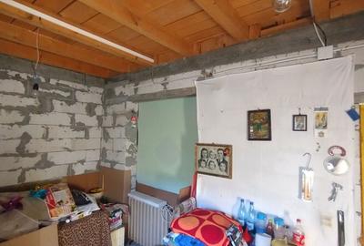 Casă, gradină, teren mare - Palazu Mare - 8