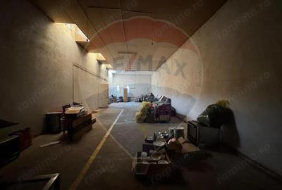 Spațiu comercial, de 248 mp, în Brazda lui Novac - 1