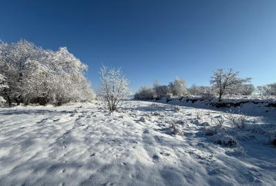 Teren intravilan 500 sau 1000 mp Bran-Tohanita la dum asfaltat - 14