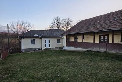 Casă cu 4 camere în Deleni - 15