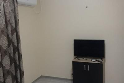 Lacul Tei, aproape Parcul Circului - 7