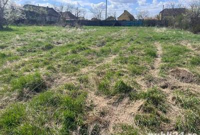 Teren de 2098 mp, în Beregsău Mare - 4