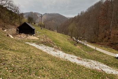 Teren de 12800 mp, în Remeți - 6