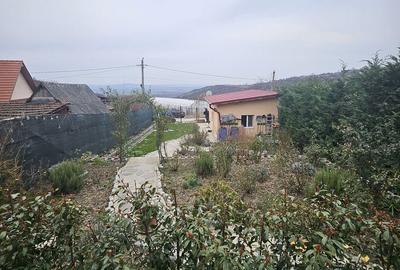Casă cu 2 camere în Podgoria - 5