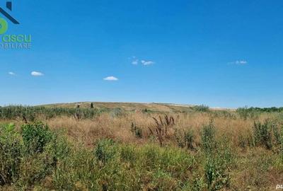 Teren Drum la Chiajna, sector 6, 11.350 mp, D 33 ml - 4