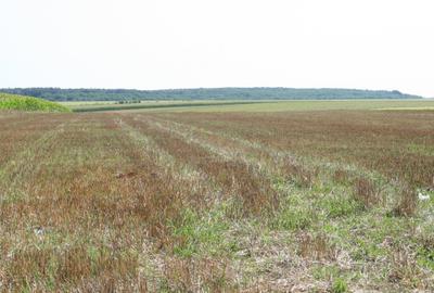 BELCIUGATELE - Complexul Valea Iazurilor, 19.720 mp. teren intravilan parcelabil - 4