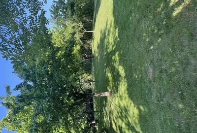 Casă cu 5 camere în Bragadiru - 5