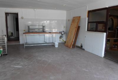 Spațiu comercial, de 75 mp, în Central - 10