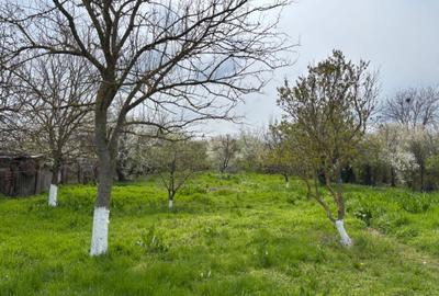 Casă cu 4 camere în Bulbucata - 1