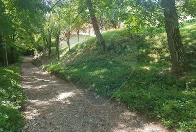 1.72 ha TEREN DE VANZARE - Seini - 2