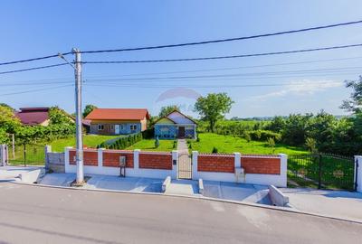 Casă cu 3 camere cu Teren 1732 Mp în Merișor - 11