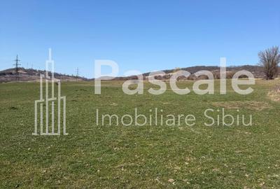 Spațiu comercial, în Daia - 2