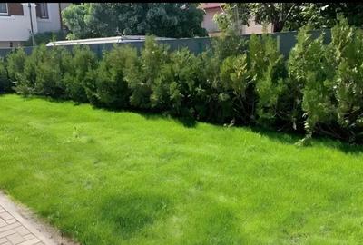 Casă individuală cu 4 camere cu Canalizare în Central - 4