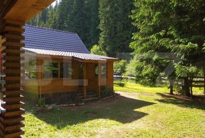 Cabana  cu teren 1364mp, zona Bucin - 15