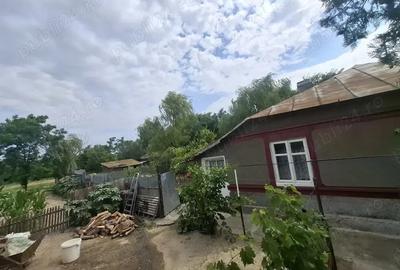Casa de vanzare Maxineni Braila strada principala nr. 36