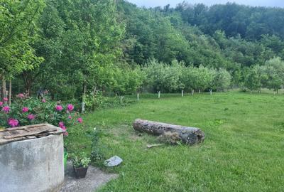 Casă cu 3 camere în Central - 8