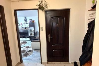 Apartament cu 3 camere decomandat, mobilat în Brazda lui Novac - 2