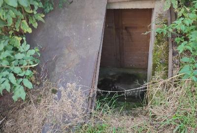 Casă cu 2 camere în Băița - 2