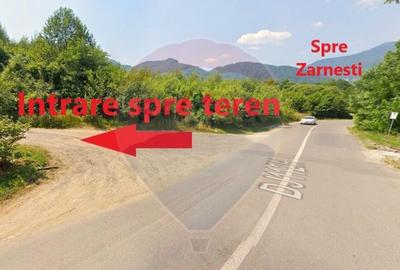 Teren 4,223mp Zarnesti - Tohanita - 2