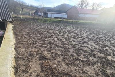 Pret Redus ! Casa cu teren zona Roscani,Tinutul Pastravariilor - 8