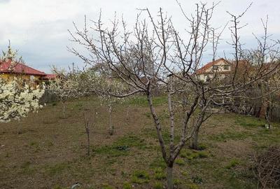 Teren de 845 mp, în Oreavul - 3