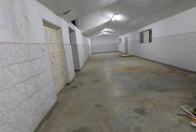 Hala de 800 mp cu teren de 1600 mp in Ineu de Cris Bihor. - 1