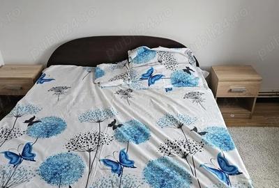 Apartament cu 2 camere decomandat în Broșteni - 9