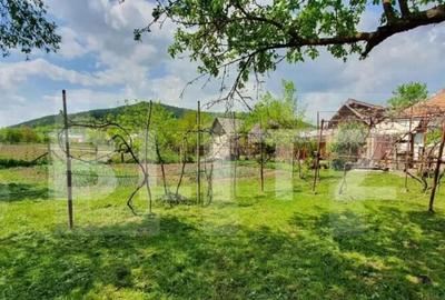 Casa individuala, 80 mp, teren 13000 mp, intrare in Dej - 1