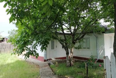 Casă cu 4 camere în Blidari (Cârligele) - 3