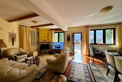 Vila Exclusivista Piatra Arsa Busteni - 2