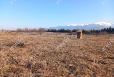 Teren intravilan 7900 mp de pe Valea Avrigului - 10