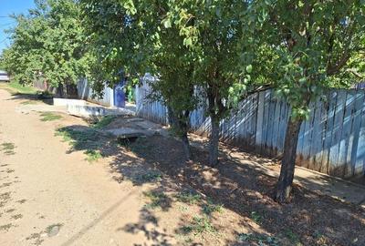 Vând casă + teren agricol Vând casă + teren agricol - 4