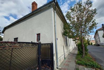 Casa cu aer nobil in Baia de Cris - 12