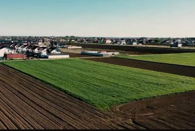 Vanzare Teren  Magurele Varteju 520mp - 4