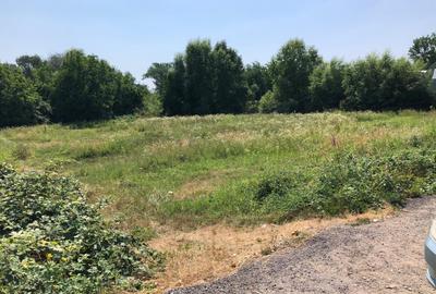 Teren Intravilan 4500 mp - zona Strada Digului - Vivo Mall/Petrom - 7