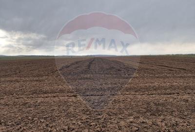 Teren 10,000mp Bacau / Strada Alexandru Safran - 4
