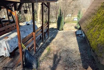 Teren de 1050 mp, în Păușești - 5