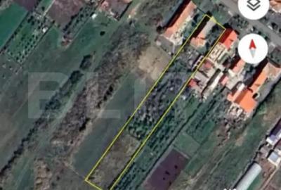 Casă cu 3 camere cu Teren 2985 Mp în Nițchidorf - 11