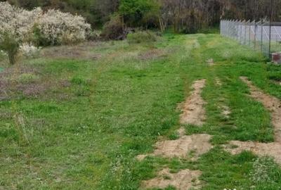 Teren de 3669 mp, în Topoloveni