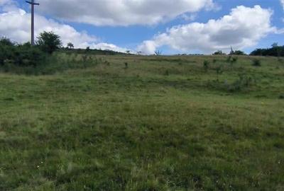 Teren Construcții extravilan de 3960 mp, în Budiului