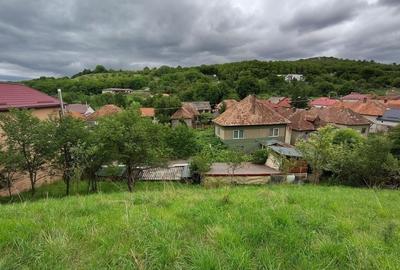 0% Comision! Casa P+E, teren 1681 mp, 2 fronturi, la asfalt, in Suceag - 38